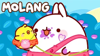 Molang 🐹 MEYVELER 🍒 Çocuklar İçin Çizgi Filmler ✨ Super Toons TV Animasyon