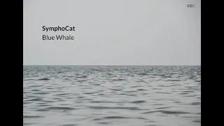 Symphocat - Blue Whale  (Long  Whale Song Album)