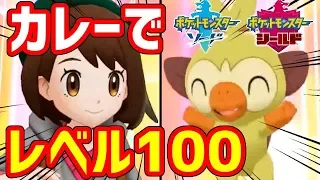 【ポケモン剣盾】カレーだけでポケモンをレベル100にした！！！