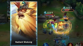 찬란한 오공 RADIANT WUKONG