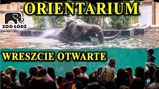 Armagedon w Łódzkim ZOO - Tłumy Przy Kąpieli Słoni - ORIENTARIUM Wreszcie Otwarte!