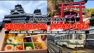 Kumamoto 2023 🇯🇵❄️ Vlog | Shinkansen, Ekiben, Tram, Shrine, Kumamoto Castle, Souvenirs  🚅🚋🏯