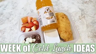 Cold Lunch Ideas for Work or School | March 2020