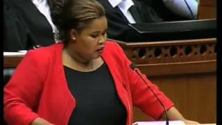 SONA 2013 Debate: 02 Leader of the Opposition - DA