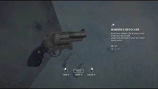 THE LONG DARK: Warden's Revolver