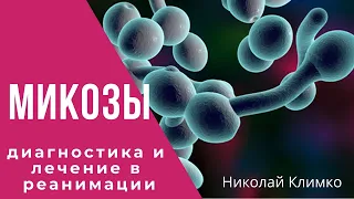 Микозы - диагностика и лечение в реанимации