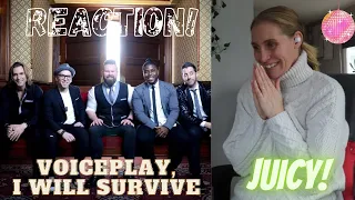 REACTION! VoicePlay, I Will Survive 🕺🏼 OFFICIAL VIDEO #VoicePlay #ACappella #DiscoCovers