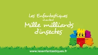 MILLE MILLIARDS D'INSECTES - Les Enfantastiques