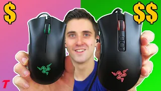 Razer Deathadder Essential Vs Deathadder V2  - Is It Worth Double?