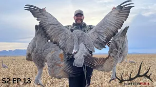 ARIZONA SANDHILL CRANE HUNT 2022!!!