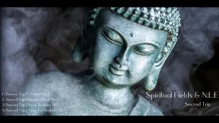 Spiritual Fields & N:L:E (Natural Life Essence) - Sacred Trip [Full EP]