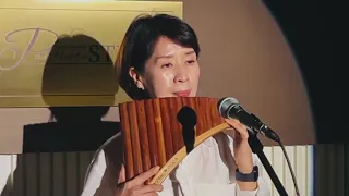 사랑이 지나가면(이문세)_Panflute