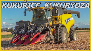 Sklizeň Kukuřice na Zrno 🌽 Kukurydza Na Ziarno | New Holland CR9080