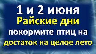 1 и 2 июня райские дни покормите птиц на достаток на целое лето. Добрые приметы практики на деньги