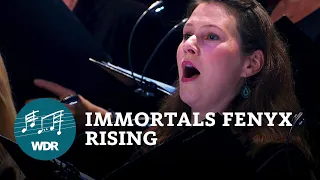 Immortals Fenyx Rising: Heart of the Hero (live) | WDR Funkhausorchester | WDR Rundfunkchor