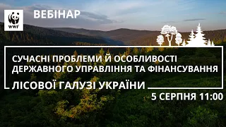 Проблеми державного управління та фінансування лісової галузі України. Вебінар WWF-Україна