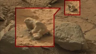 Searching for alien life in Mars photos