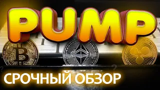 Начало пампа BTC? Срочный обзор: btc, eth, xrp.