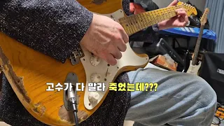 고수 기타리스트 김인집 Nash 57 relic Stratocaster ,Fender plus Stratocaster