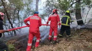 Top Channel/ Emergjenca nga zjarret, Forcat zjarrfikëse shqiptare në luftë me flakët në Greqi