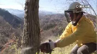 里山再生プロジェクト～猪名川町の里山を取り戻せ～