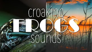 1 HOUR Relaxing Croaking Frogs Sounds Sleeping and Relaxation