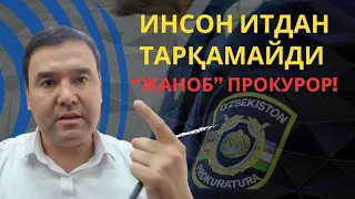 Бунақа прокурорни ишлашга ҳаққи йўқ!