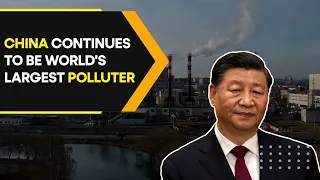 China approves biggest expansion in new coal power plants | WION Originals