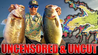 Texas Winter Bass Fishing RAW and UNCUT - Live LIVESCOPE Bass Feeding Footage!