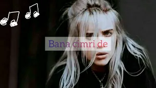 Copycat (Billie Eilish) Türkçe Çeviri