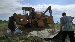 Продовжуємо жнивувати, працюємо до темна. Сампо 500.