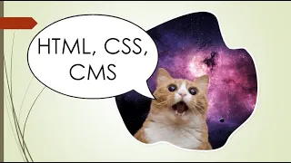 Основы HTML и CSS  урок №3.  Анимация кнопки и текста.