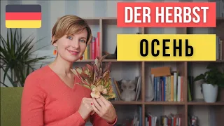 Немецкий для начинающих. Тема "Осень". Der Herbst