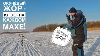 ОКУНЁВЫЙ ЖОР! Поиск и Ловля Окуня на Балансир. КАБАНЧИКИ ОДИН ЗА ДРУГИМ! Зимняя Рыбалка 2019-2020 .