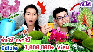 Edible bonsai, spotted bananas, cacti, edible trees, orchid flowers #Mukbang EDIBLE FLOWER : Kunti