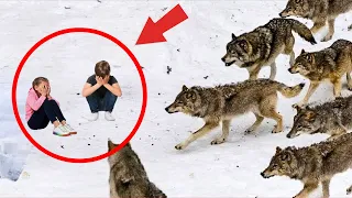 Stepmom Abandons Twins In The Forest To The Wolves - YOU WON'T BELIEVE WHAT HAPPENED NEXT