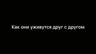 На полях сумасбродства и лени появилось новое поколение...