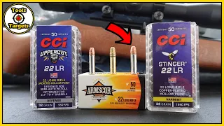 If It Aint Broke, Don't Fix It!...CCI Uppercut vs Stinger vs Armscor .22lr Rifle Ballistic Gel Test!