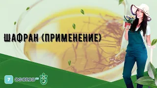 Шафран (применение)