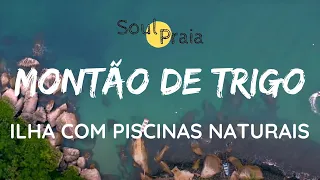 SOULPRAIA NA AREIA - ILHA DO MONTÃO DE TRIGO - SP