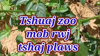 tshuaj zoo mob rwj tshaj plaws