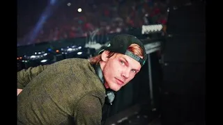 Avicii Ft. Aloe Blacc Vs Tim Berg - Wake Me Up Vs Bromance (Bryan Walker Edit)