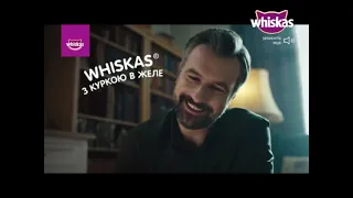 [ИТВ] Фрагмент эфира (Whiskas TV [Украина], 29.12.2021)