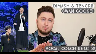 Vocal Coach Reacts! Dimash Kudaibergen & Tengri! Swan Goose!