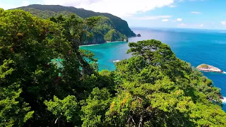 Cocos Island 2016 Aerials Best of Drone