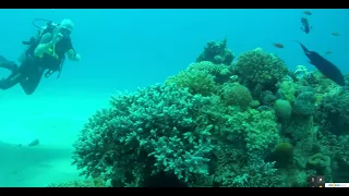 Red Sea Eilat. Красное море в Эйлате