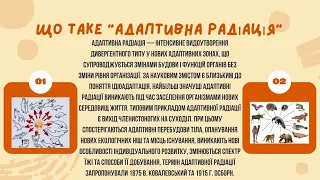 Адаптивна радіація