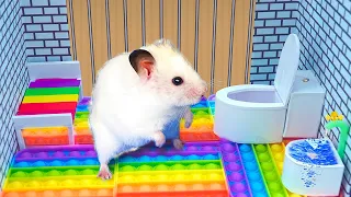 Mr Hamster escape from Prison 2 - Best Pet Maze Challenge | Hamster Life