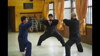 Efectos de Wudang Verdadero, particularmente Qigong Fuerte, en la Energía, Salud y Mente de Mario