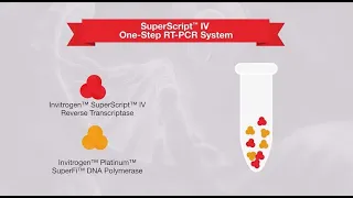 1-step vs. 2-step RT-PCR—which one is right for your application?